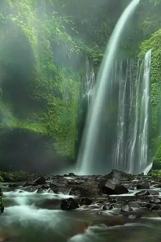 精灵的居住地